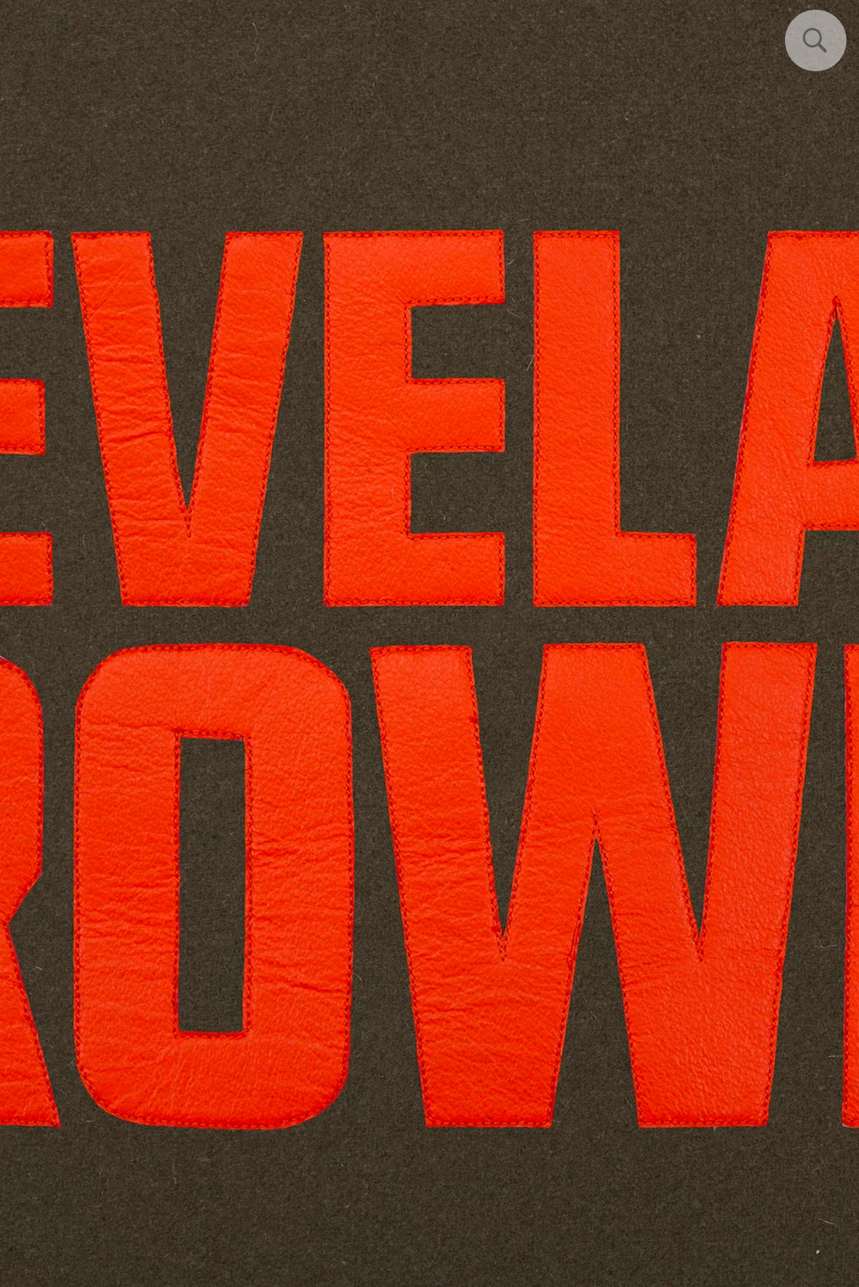 Cleveland Browns Wool and Leather Varsity Jacket with Back Logo