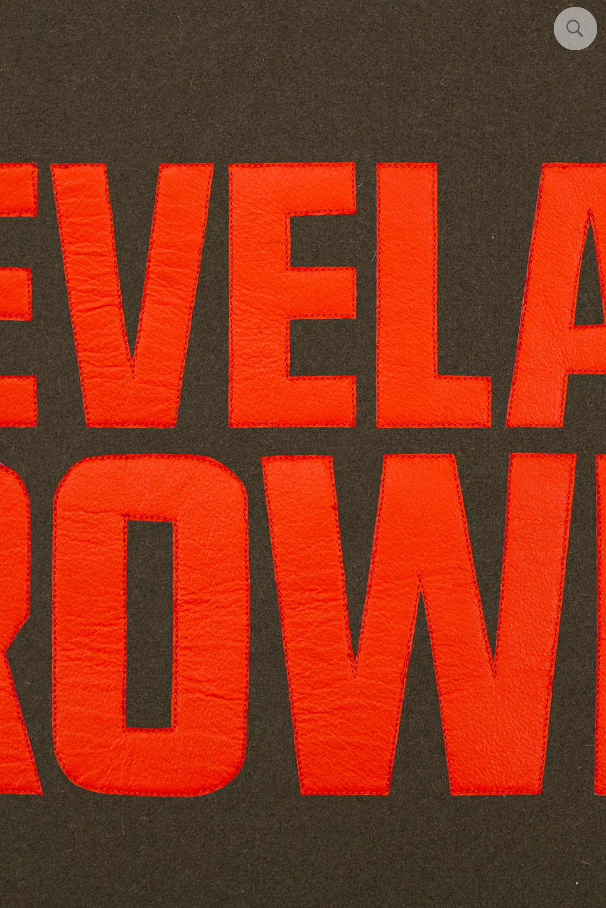 Cleveland Browns Wool and Leather Varsity Jacket with Back Logo